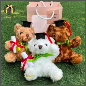 Gấu bông tốt nghiệp