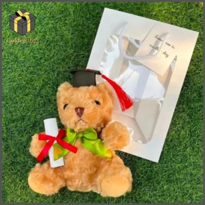 Gấu bông tốt nghiệp